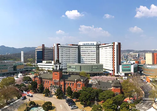 Seoul National University Hospital