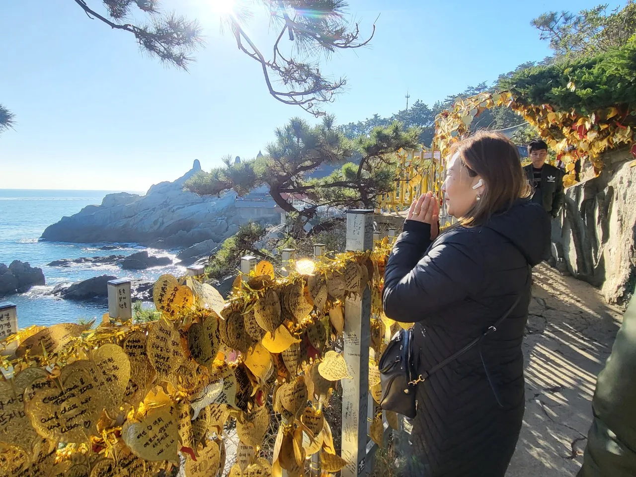 Mongolia Busan MediTour ( PSW - 2023.11.30 ~ 12.05 )