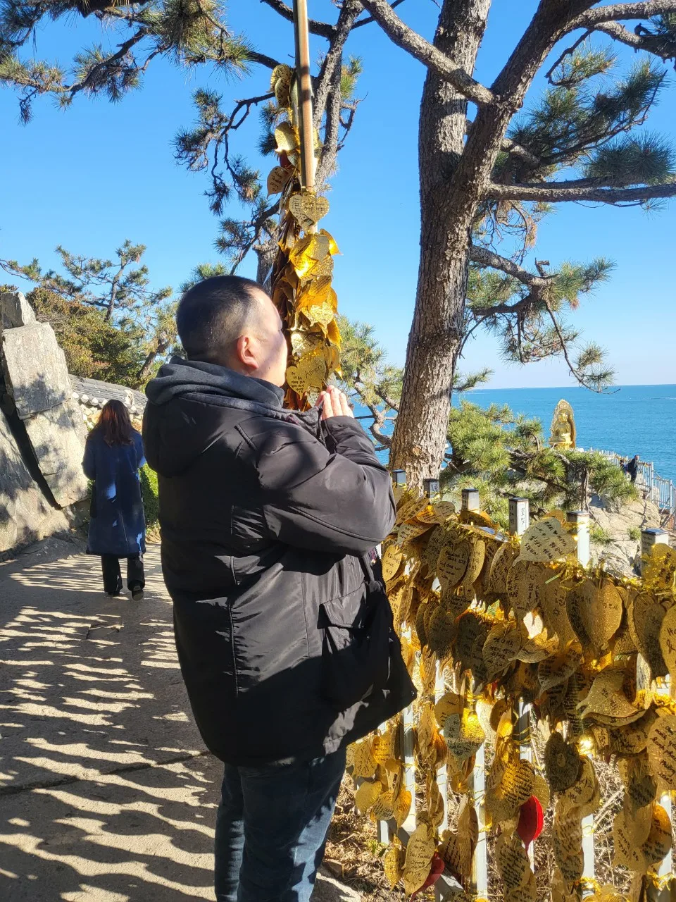 Mongolia Busan MediTour ( PSW - 2023.11.30 ~ 12.05 )