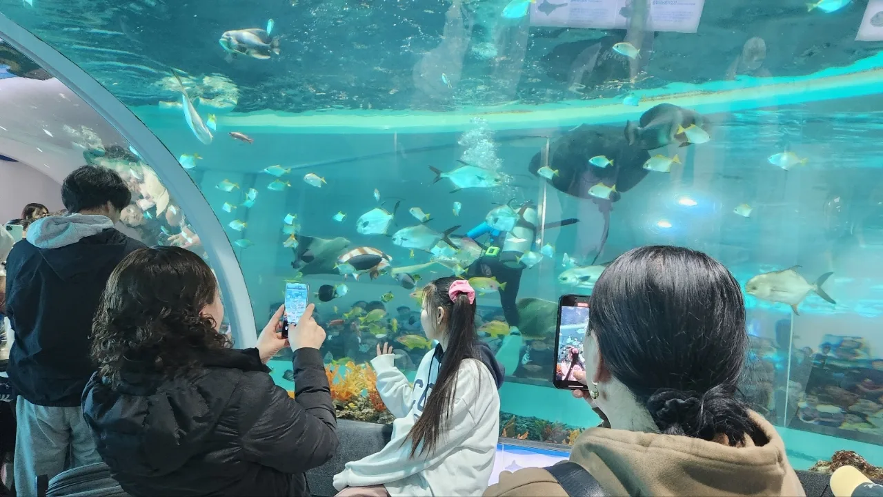 Mongolia_ Busan MediTour ( AM Tour - 2024.02.15 ~ 02.19 )