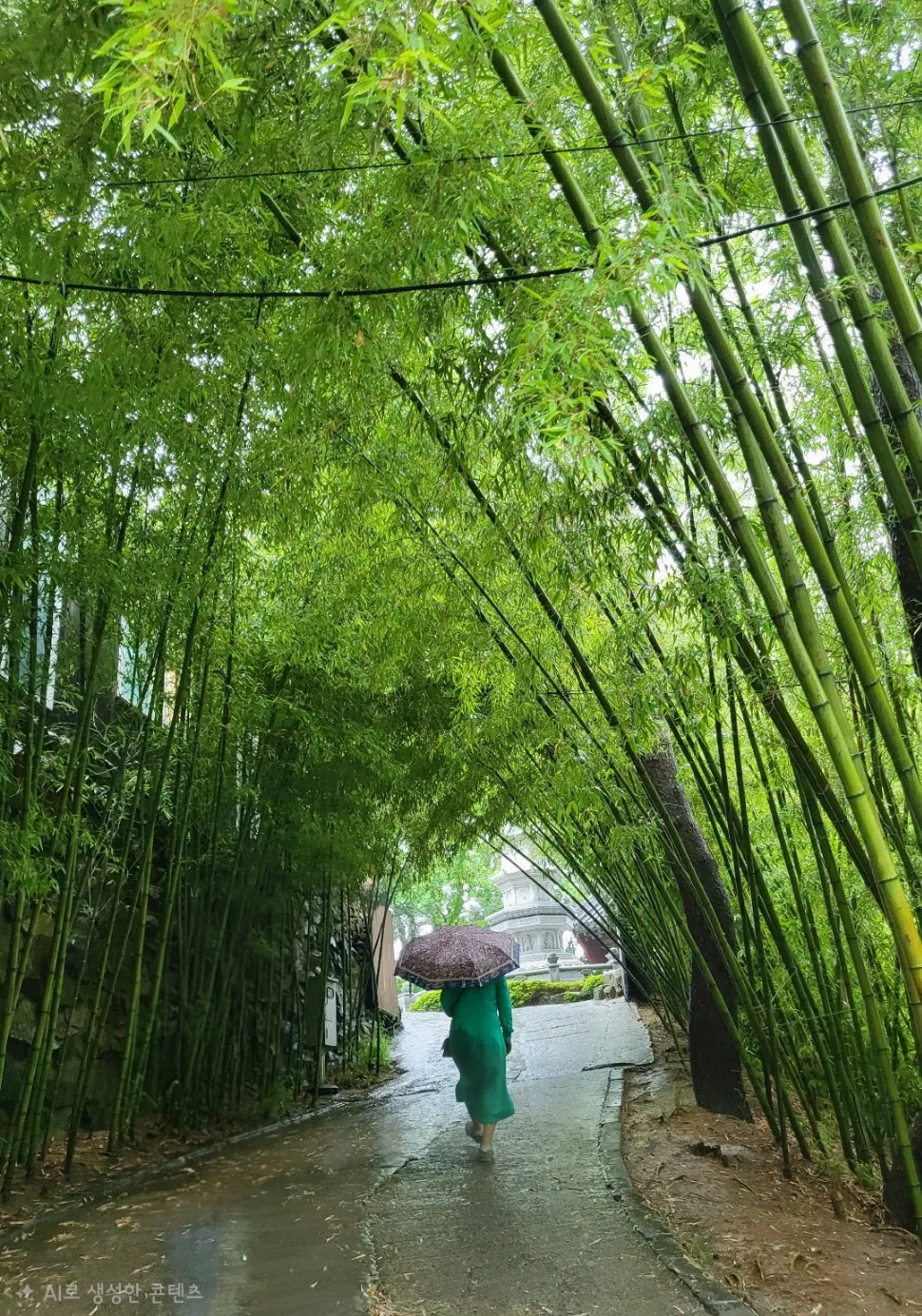 Fresh air and healing in the bamboo forest path